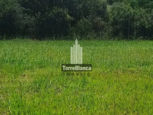 Terreno com 208m², à venda, no bairro Contorno em Ponta Grossa