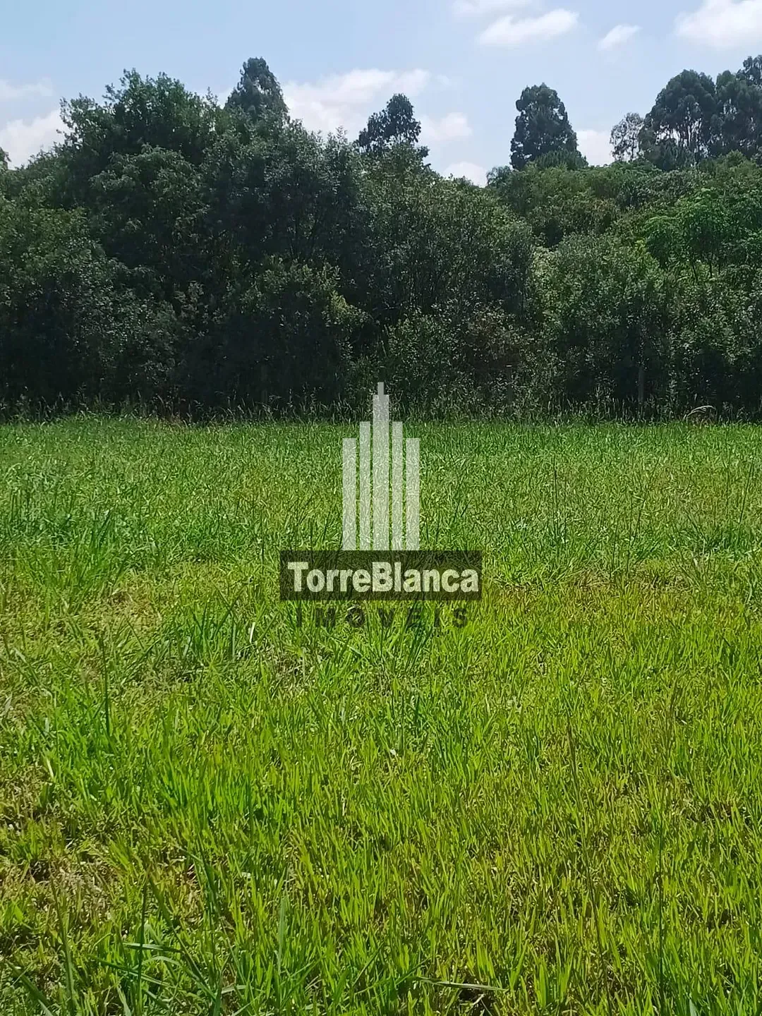 Terreno, 208 m² - Foto 4