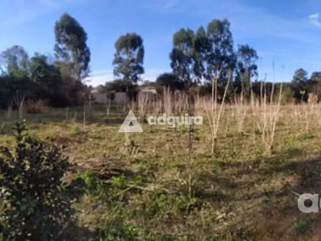 Terreno com 4000m², à venda, no bairro Oficinas em Ponta Grossa