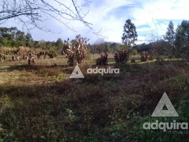 Terreno com 4000m², à venda, no bairro Oficinas em Ponta Grossa