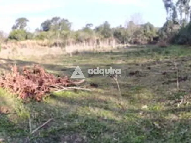 Terreno com 4000m², à venda, no bairro Oficinas em Ponta Grossa