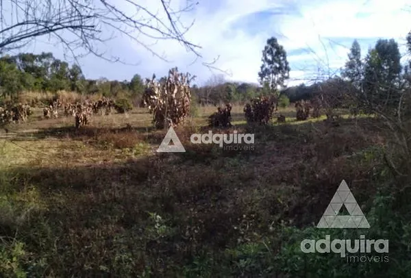 Terreno, 4000 m² - Foto 3
