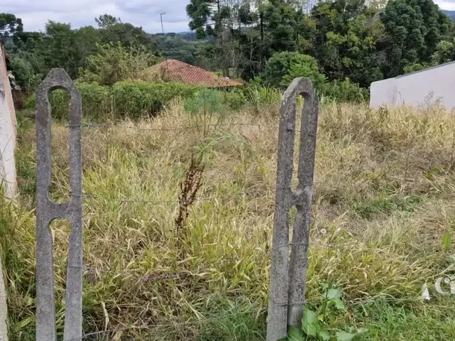 Terreno à venda, no bairro Bugre em Balsa Nova