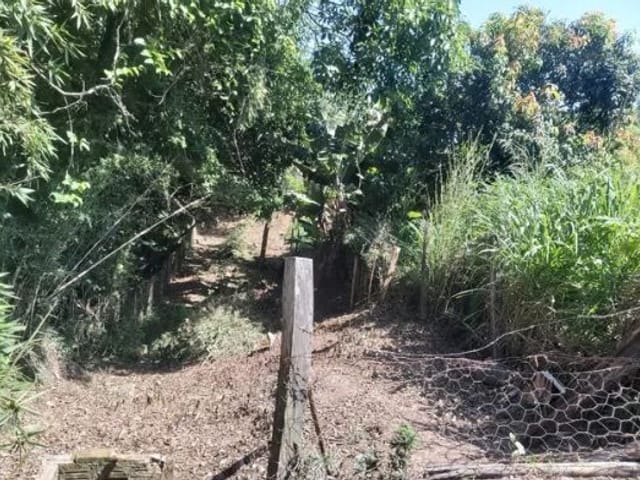 Foto do Terreno - Terreno à venda, 262 m² por R$ 96.000,00 - Jardim Santa Maria - São José dos Campos/SP | INDEPENDENCE NEGOCIOS IMOBILIARIOS LTDA