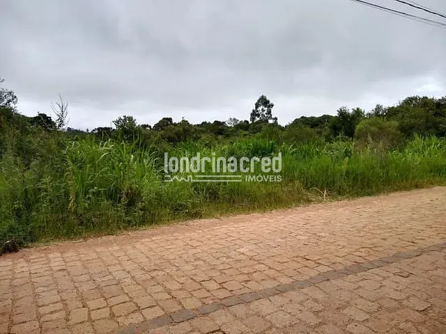 Terreno à venda, no bairro Zona Rural em São José Dos Pinhais