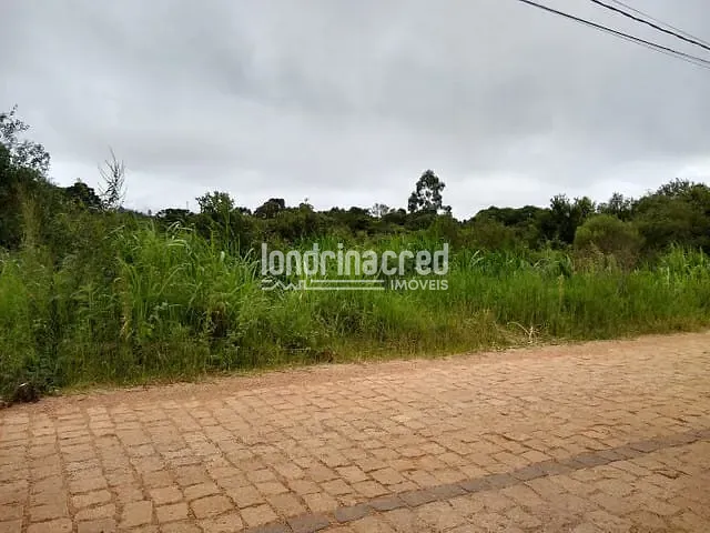 Terreno à venda, no bairro Zona Rural em São José Dos Pinhais