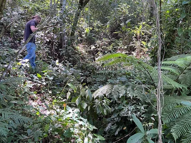 Terreno com 95000m², à venda, no bairro Chácaras Condomínio Recanto Pássaros II em Jacareí