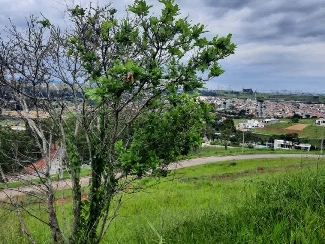 Terreno com 612m², à venda, no bairro Caixa D'água em Taubaté