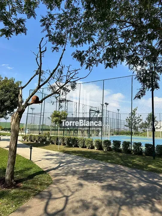 Terreno, 323 m² - Foto 9