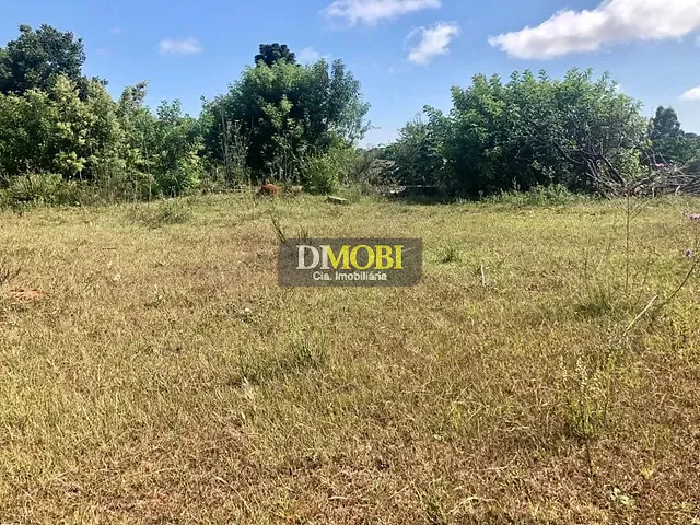 Terreno com 3250m², à venda, no bairro Sagrada Família em Gravataí