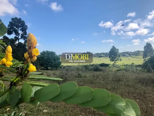 Terreno com 3250m², à venda, no bairro Sagrada Família em Gravataí