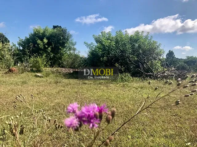 Terreno com 3250m², à venda, no bairro Sagrada Família em Gravataí