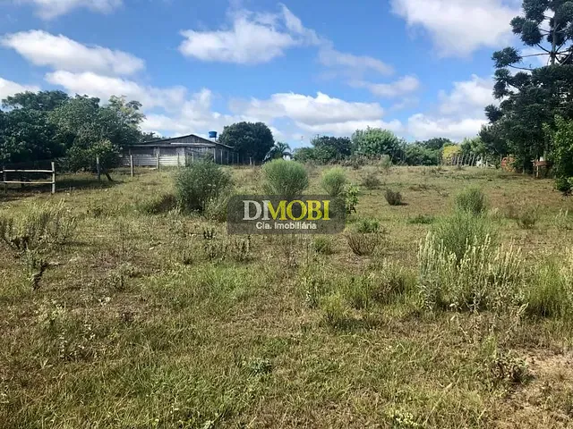 Terreno com 3250m², à venda, no bairro Sagrada Família em Gravataí