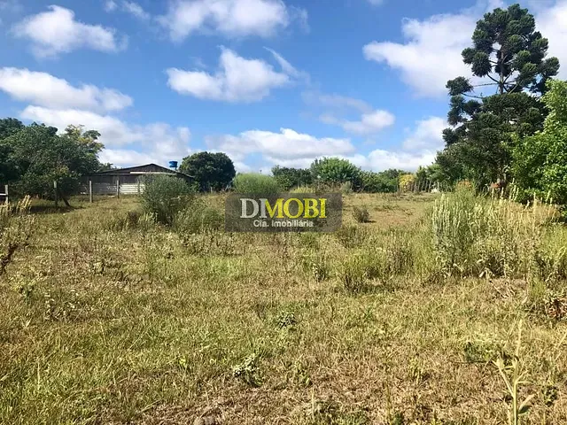 Terreno com 3250m², à venda, no bairro Sagrada Família em Gravataí