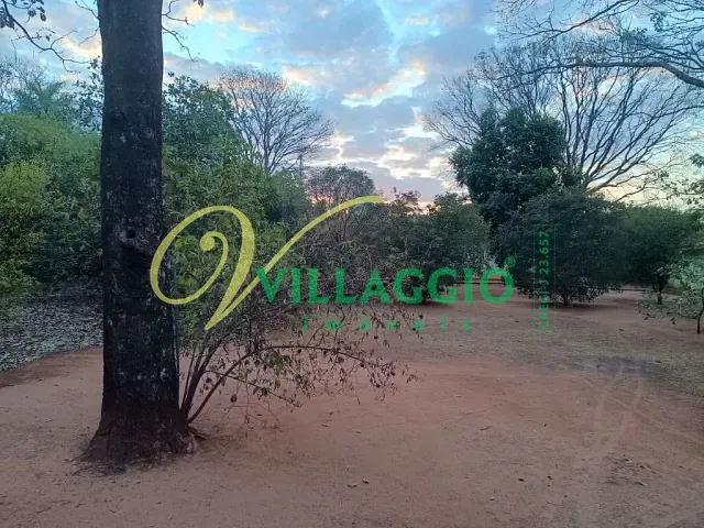 Terreno com 16800m², à venda, no bairro Vila Toninho em São José do Rio Preto