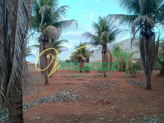 Terreno com 16800m², à venda, no bairro Vila Toninho em São José do Rio Preto