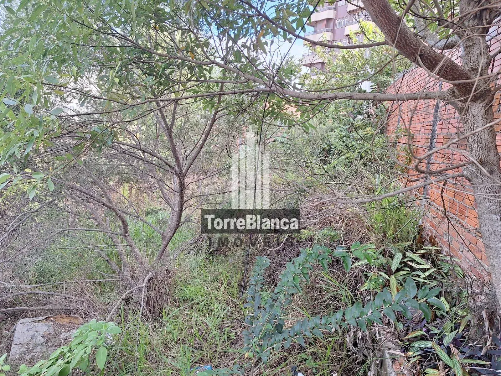 Terreno, 311 m² - Foto 5