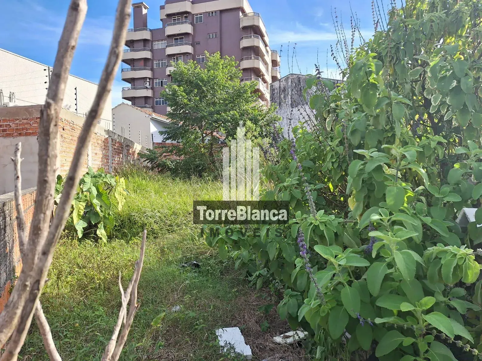 Terreno, 311 m² - Foto 3