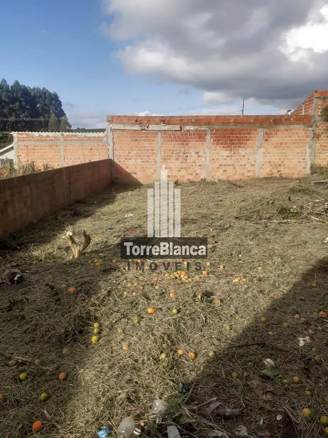 Terreno, 300 m² - Foto 2