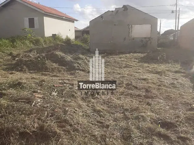 Terreno com 300m², à venda, no bairro Neves em Ponta Grossa