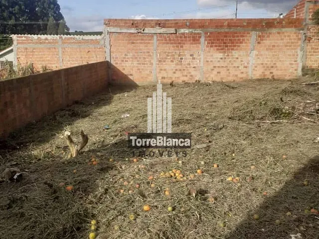 Terreno com 300m², à venda, no bairro Neves em Ponta Grossa