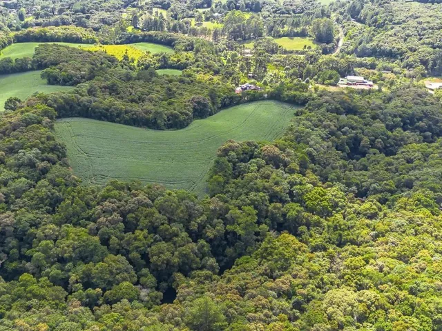 Terreno à venda, no bairro Bolinete em Campo Largo
