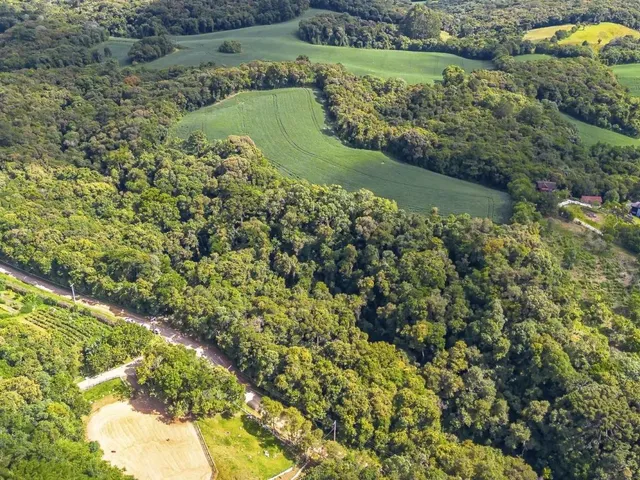 Terreno à venda, no bairro Bolinete em Campo Largo