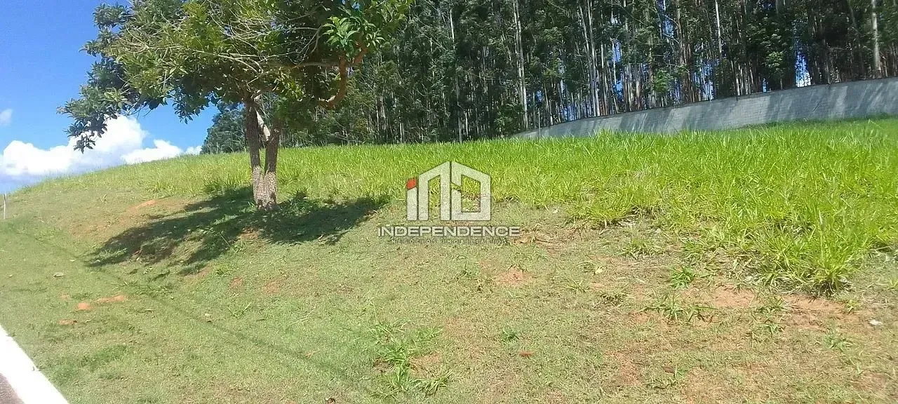 Terreno, 1037 m² - Foto 5