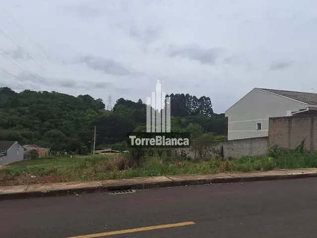 Terreno com 677m², à venda, no bairro Jardim Carvalho em Ponta Grossa