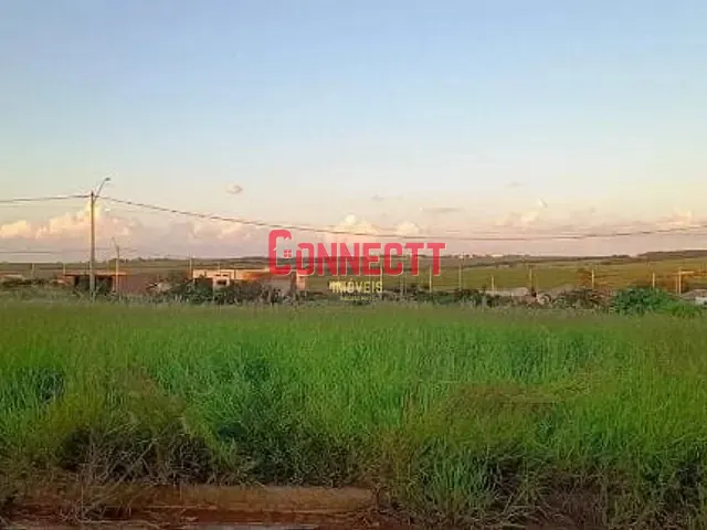 Terreno com 160m², à venda, no bairro João Berbel em Cravinhos