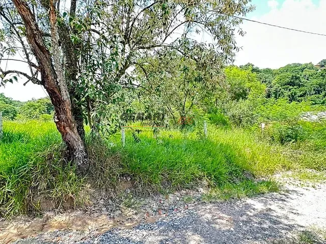Terreno com 1000m², à venda, no bairro Recanto Campestre Internacional de Viracopos Gleba 4 em Indaiatuba