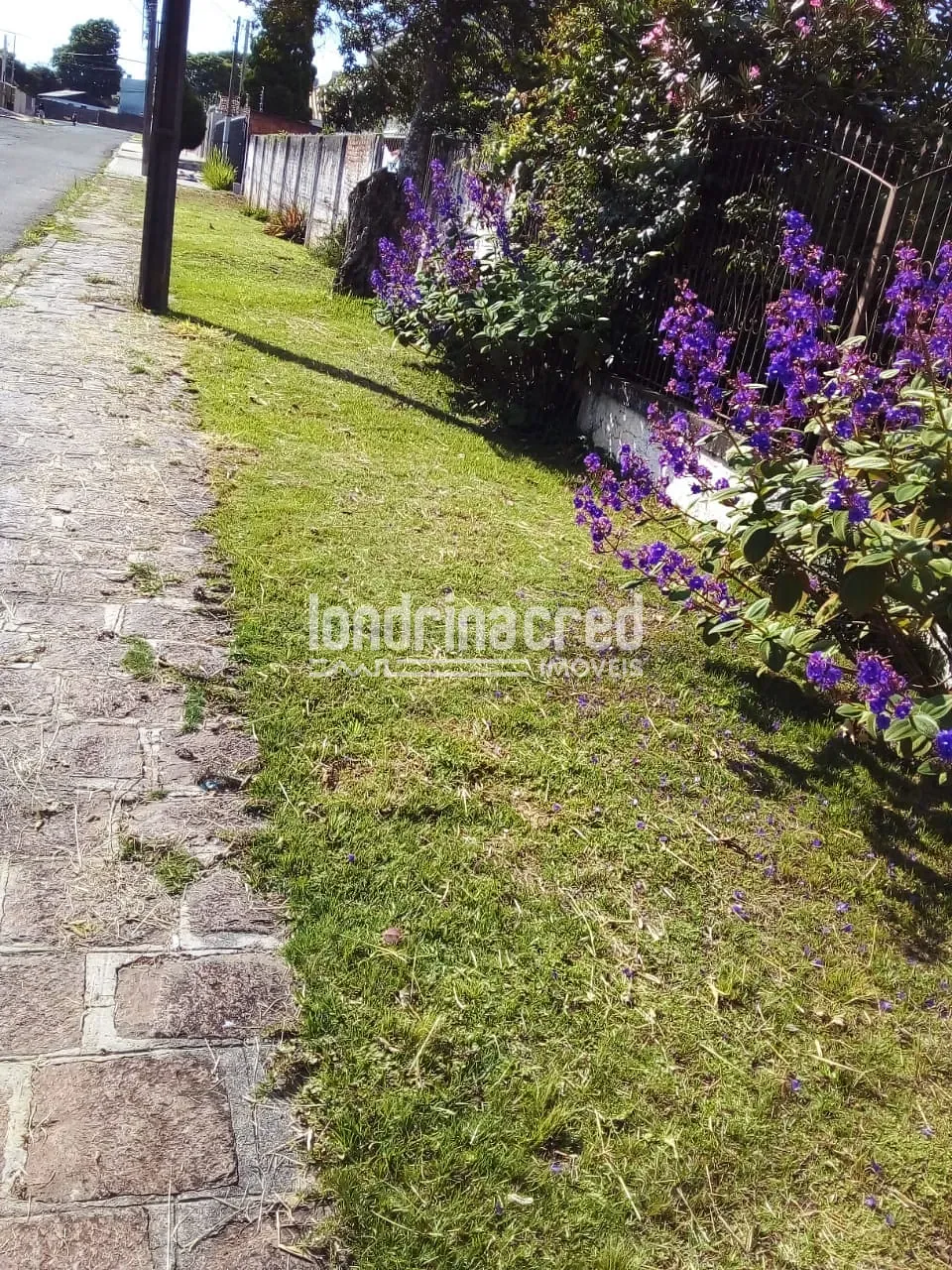 Terreno, 3680 m² - Foto 5