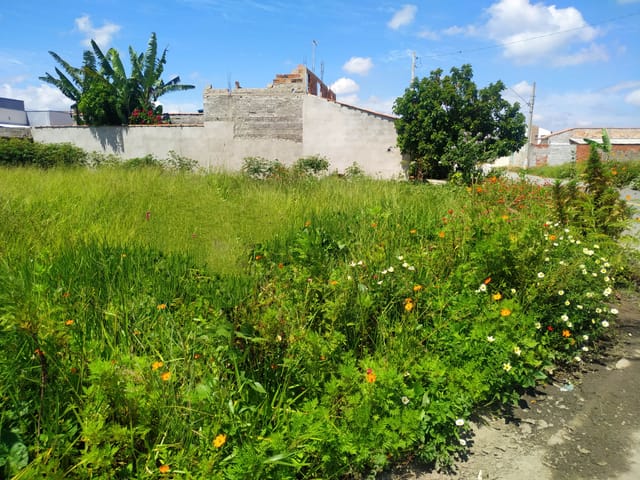 Terreno com 200m², à venda, no bairro Cesar Park em Pindamonhangaba