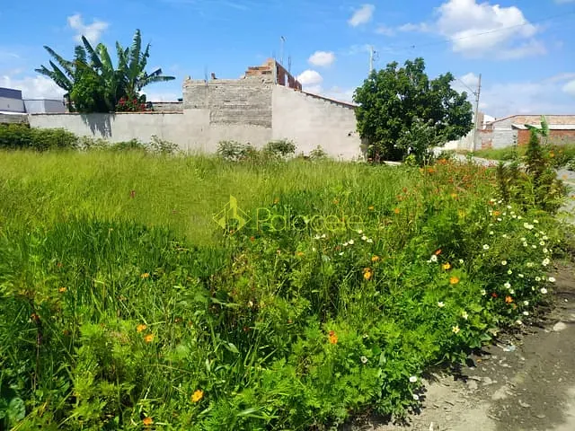 Terreno com 200m², à venda, no bairro Cesar Park em Pindamonhangaba