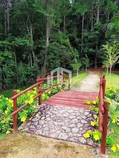 Terreno, 1000 m² - Foto 16