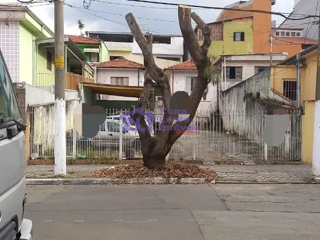 Terreno com 560m², à venda, no bairro Vila Formosa em São Paulo