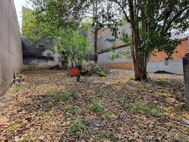Terreno com 443m², à venda, no bairro Nova Gerty em São Caetano do Sul