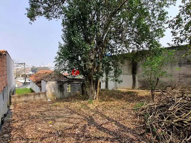 Terreno com 443m², à venda, no bairro Nova Gerty em São Caetano do Sul