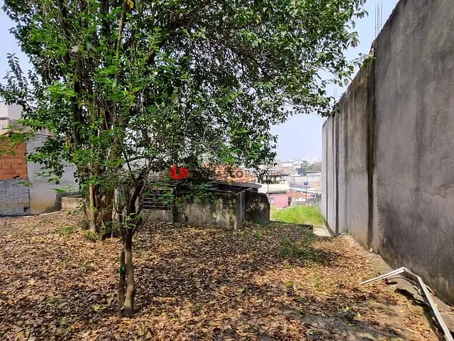 Terreno com 443m², à venda, no bairro Nova Gerty em São Caetano do Sul