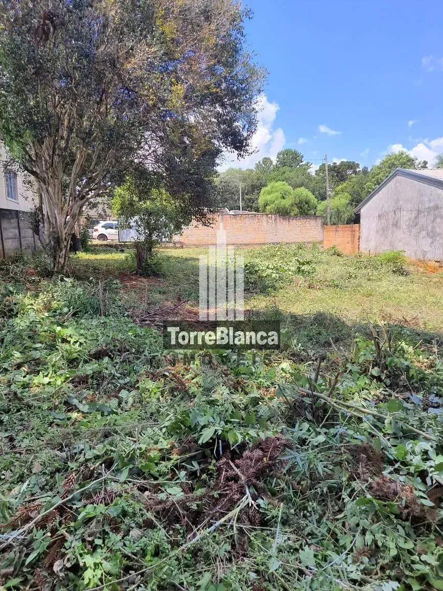 Terreno, 427 m² - Foto 6