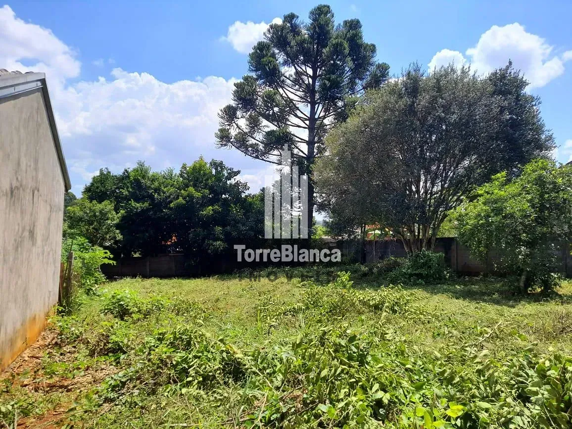 Terreno, 427 m² - Foto 7