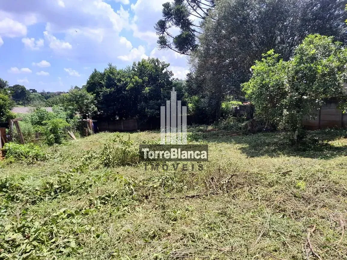Terreno, 427 m² - Foto 11