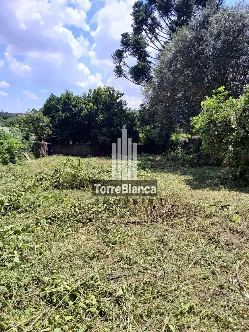 Terreno, 427 m² - Foto 10