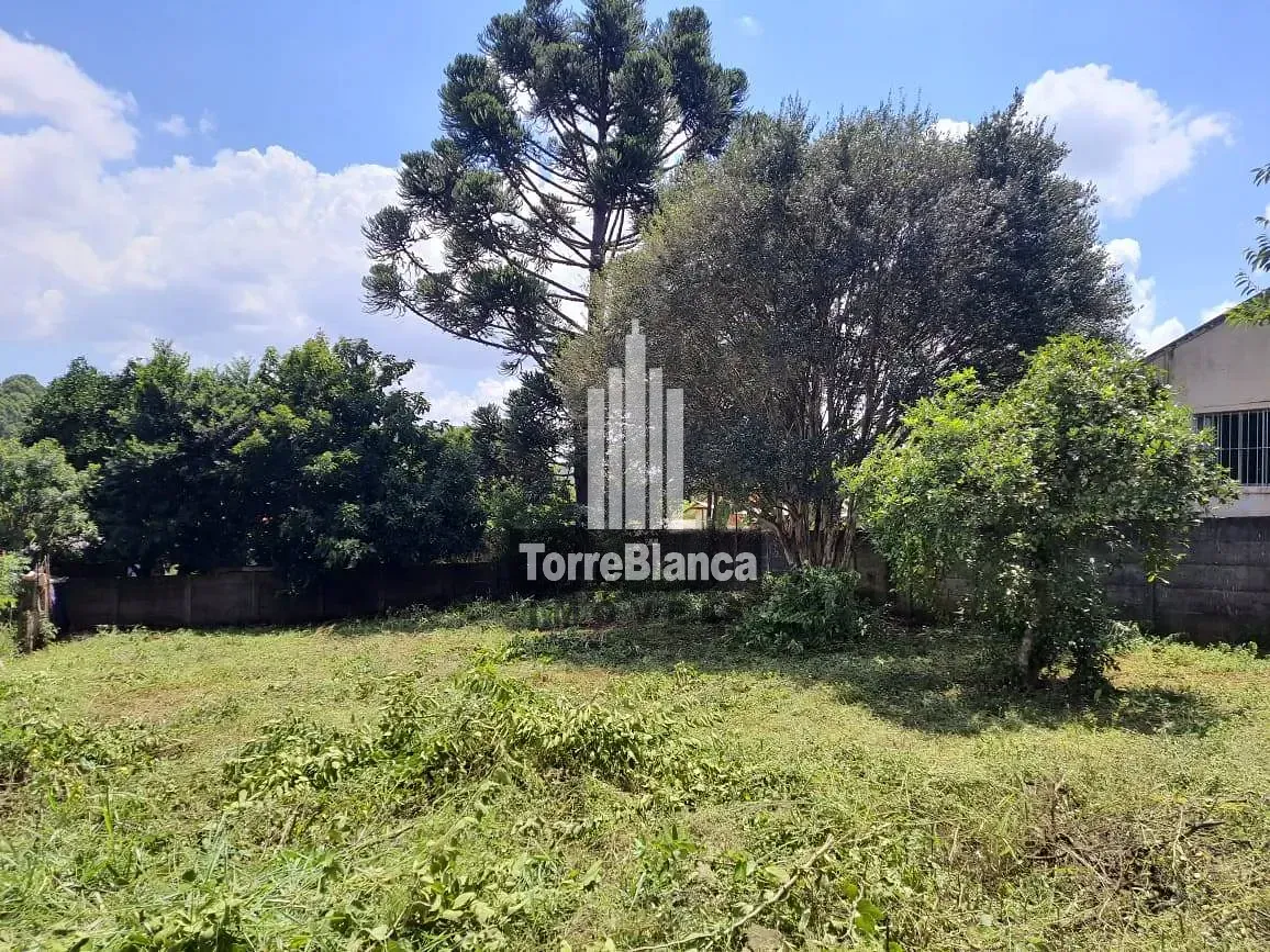 Terreno, 427 m² - Foto 4