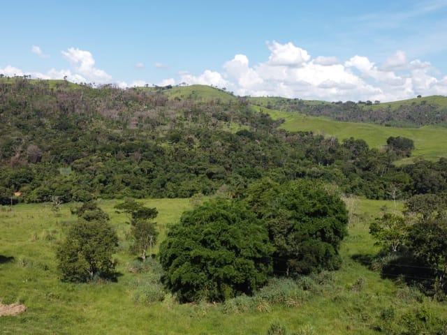 Foto do Terreno - Terreno à venda, 20000 m² por R$ 270.000,00 - Roseira - Mogi Guaçu/SP | MARIANA FURIO DE WIT CORRETORA DE SEGUROS E IMOVEIS LTDA