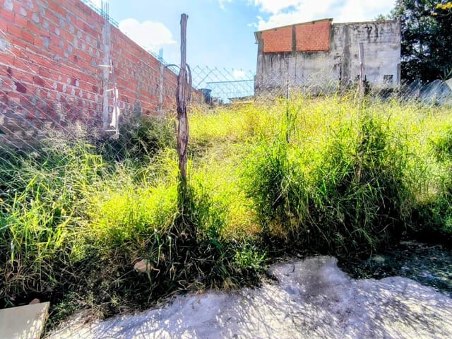 Terreno à venda, Nova Gerty, São Caetano do Sul, SP