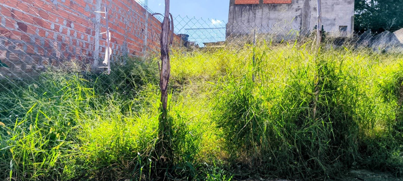 Terreno à venda, Nova Gerty, São Caetano do Sul, SP