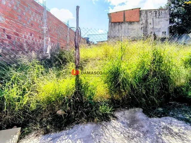 Terreno com 280m², à venda, no bairro Nova Gerti em São Caetano do Sul