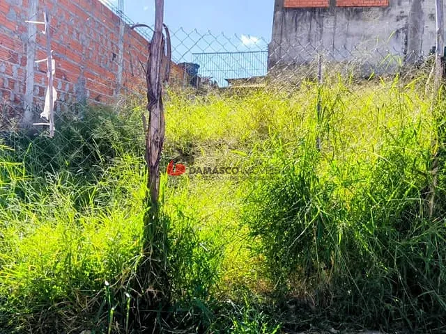 Terreno com 280m², à venda, no bairro Nova Gerti em São Caetano do Sul