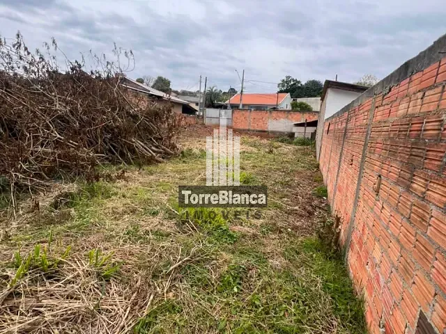 Terreno com 429m², à venda, no bairro Ronda em Ponta Grossa